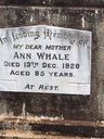 Record image of Ann Marriot Edmunds / Marriott/ whale (born Bend)