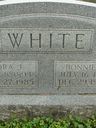 Record image of Dora Ethel White (born Johnston)