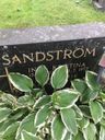 Record image of Karl Rudolf (tab 736+737)) Sandström