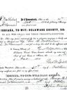 Record image of Sarah Wilhelm (born McConnell- Wilhelm)