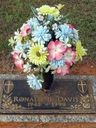 Record image of Ronald Buford "Ronnie" Davis