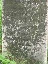 Record image of Barbara Loose (geb. Benner)