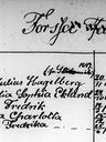 Record image of Carl Johan Fredrik Hagelberg