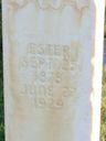 Record image of Esther Violate Burgess / Stoddard (born Chidester)