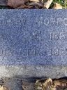 Record image of Andrew Morrow