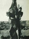 Record image of Clive james Jones