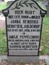 Record image of Janna Hendika Gerritsen (geboren Koldenhof)