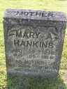 Record image of Mary Angeline Hankins (born BRASHEARS)