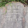 Record image of Elizabeth Pascoe Lucas / Green (born Fawkner)
