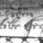Record image of Elisabeth Hedrich (geb. Habermehl)