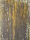 Record image of Elizabeth  100715743 Erwin (born Bratton)