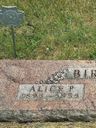 Record image of Alice Pearl Birkhofer (born Bramley)