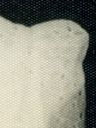 Record image of Patricia Atkinson (born Richards)