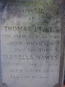 Record image of Henry Thomas Hawes