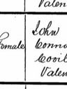 Record image of Johanna (Hanora) "Hannah" O'Shea (O'Seadha) (born O'Connor)