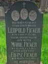 Record image of Franz Borgias Ficker
