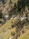 Record image of Magdalena Zeyrlinger / Zeitlinger (geb. Eckhardt)