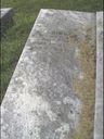 Record image of Sidney Ann Cooper "Conrad"