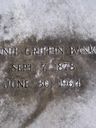 Record image of Minnie Banks (born Griffin)