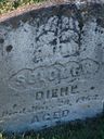 Record image of Solomon “Swamp Sol” Diehl