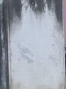 Record image of Elizabeth “Eliza” De Saussure (born Ford)