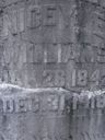 Record image of Nicey E. Williams (born Lee)
