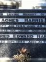 Record image of Agnes Nancy Harris (born Gillespie)