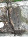 Record image of Thomas Pinckney Huger