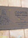 Record image of Flora Cecilia Cooper (born Dwyer)
