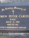 Record image of Andrew Peter (Andy) Carlton
