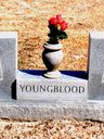 Record image of Linda Youngblood (nacida Johnson)