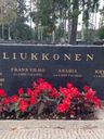 Record image of Eeva Impi Heikintytär Liukkonen (born Häkkinen)