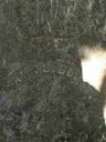 Record image of Ann Dorthea Trout (born Griner)