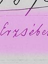 Record image of Erzsébet Bircsák