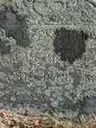 Record image of Seth Perry