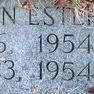 Record image of Stephen Yates "Stevie" ESTEP