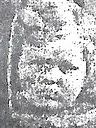 Record image of Barbara Seidl (geb. Alter)