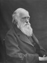 Record image of Charles Robert Darwin