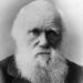 Record image of Charles Robert Darwin