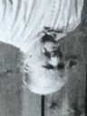 Record image of Sigrid Larsson Vallin (o.s. Simonsdotter)