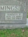 Record image of Harvey Presley Cummings