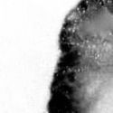 Record image of Elisabeth Mary Braden (geb. Witte)