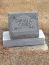 Record image of Sarah Catherine Gibbs (born Luckey)