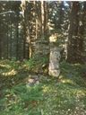 Record image of Sigfrid (Sigfrid Sigfridsson Brunskog) Mangen