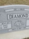 Record image of Connie Jo Diamond (born Lee)
