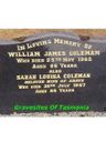 Record image of Sarah Louisa Coleman (born Wilton)