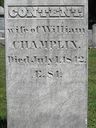 Record image of Content Leeds Champlin (born Brown)