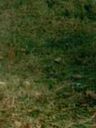 Record image of Sarah Jane Sanderson (born Field)