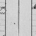 Record image of Katalin Halle (Neubauer)