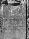 Record image of Luise Schwab (Lion)